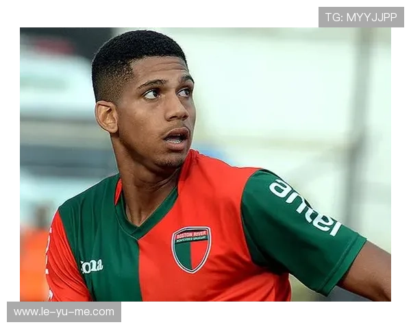 阿劳霍：乌拉圭中后卫的崛起，防线新领袖